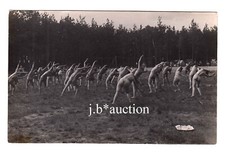 Nudismus NACKTE GYMNASTIK IM FREIEN Eurythmie * Vintage Foto-AK um 1930