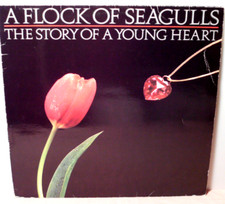 A Flock of Seagulls - The