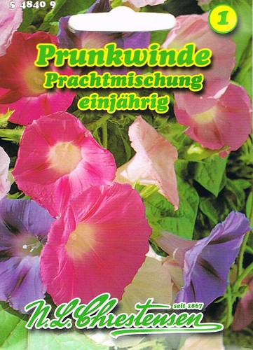 Prunkwinde prachtmischung - prunkwinde,