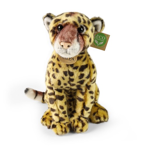 Rappa 252363 gepard - rappa, sitzend