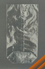 100 echte Cellophanbeutel 95 x 160 biol. abbaubare Zellglasbeutel Bodenbeutel 