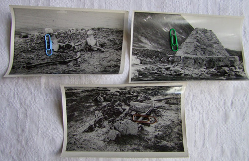 Walfang original fotos 1937 - walfang,