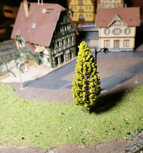 Dunkelgelbgrüne tannen - dunkelgelbgrüne,