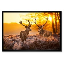 Gerahmt Poster Bilderrahmen