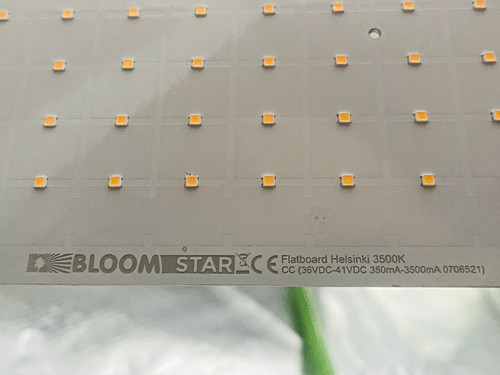 Bloomstar flatboard helsinki - bloomstar,