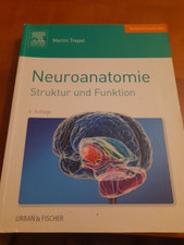 Neuroanatomie - Struktur und