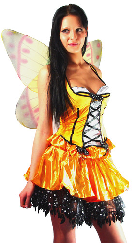 Faschingskostüm karneval - faschingskostüm,