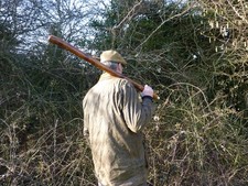 RIESIGER IRISCHER BLACKTHORN