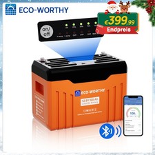 ECO-WORTHY 12V 300AH LiFePO4
