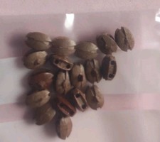 Rarität Block Graupner 465