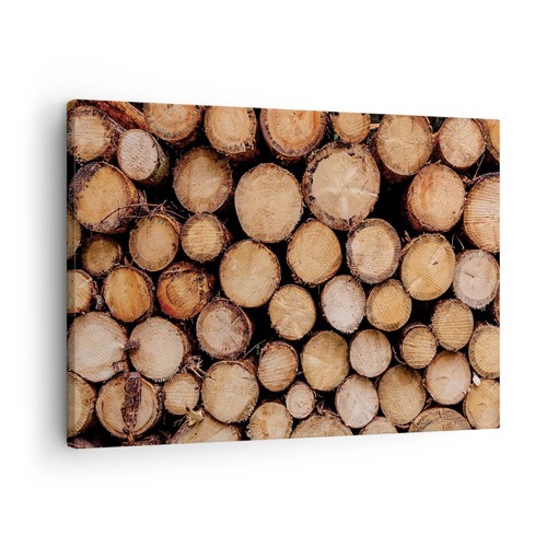 Wandbilder 70x50cm