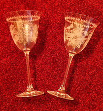 Portmeirion  - 2 edle Weingläser - Botanical Garden - Kristallglas geätzt