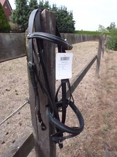 Shetty Trense von USG Modell "