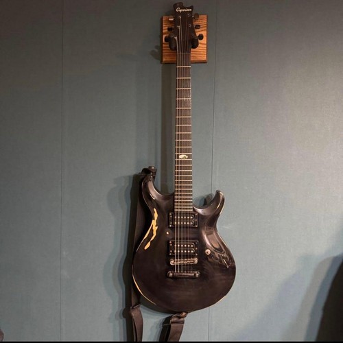 Caparison angels gitarre - e-gitarre, 24