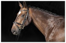 Wallario Teppich Fußmatte ab