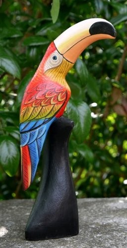 Vogel kakadu ara papagei - vogel,