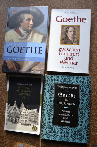 Goethe leben werk - goethe, leben,