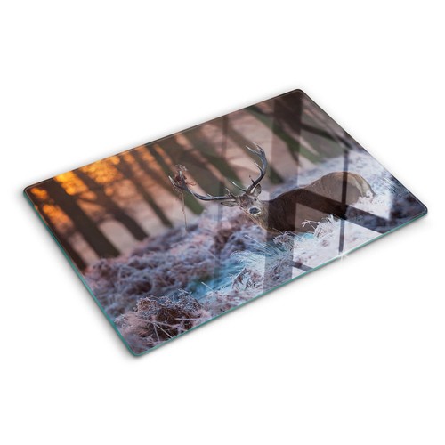 Glas-Herdabdeckplatte