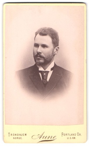 Fotografie aune trondhjem - fotografie, aune,