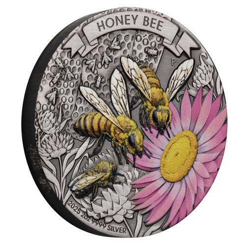 Dollar honey bee - 2,