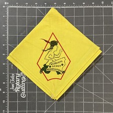 Vintage Resolute Scout