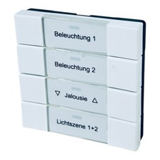 Busch-Jaeger 6125/26/27/29 (MF)-8 Tastsensor / 4fach / Bedienelement / EIB / KNX