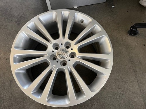 Original jaguar - jaguar, &