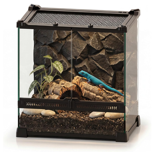 Gallon glas terrarium - gallon,