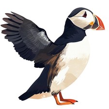 Sticker papageientaucher - 2x,
