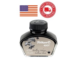 Brilliant Black Bottled Ink