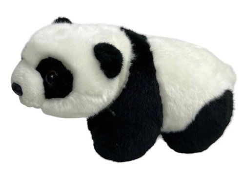 Panda bär pandabär - panda,