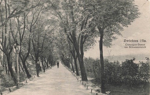 Zwickau - ak, (08056)
