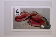 Tier-Abenteuer Entdecke sie