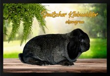 Fußmatte Schmutzfangmatte Kaninchen Dt. Kleinwidder eisengrau F1459