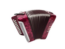 Silvetta Harmonika diatonisch Handharmonika XG-08S-BCR 8 Bässe 2 Reihen B-C NEU