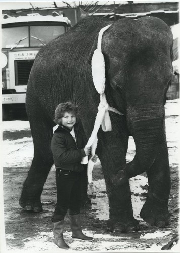 Elefant maureen roberts - elefant,