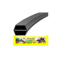 Keilriemen für Murray