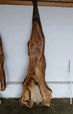 38mm Nussbaum WALNUSS Brett