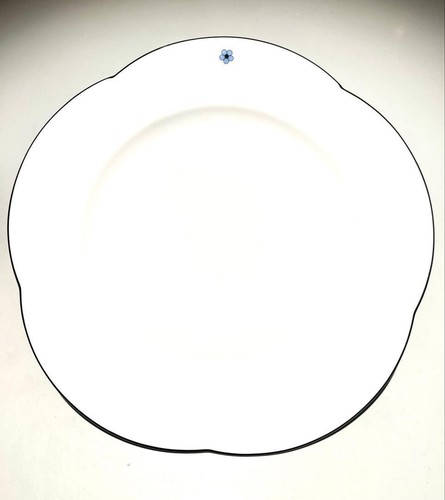 Richard ginori gebrauchtes - ginori,