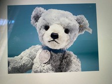 steiff teddy bär club edition