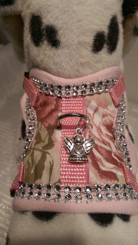Hundegeschirr - , xs