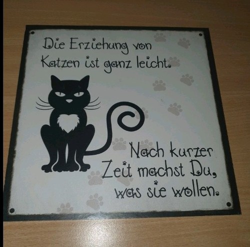 Schild bild katze - schild,