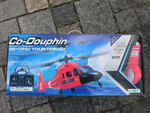 Douphin beyond your - co-douphin, dream