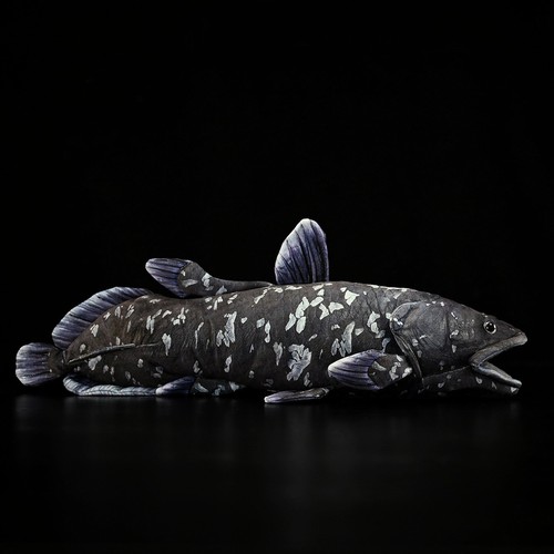 Coelacanth fisch - coelacanth-fisch, 20"