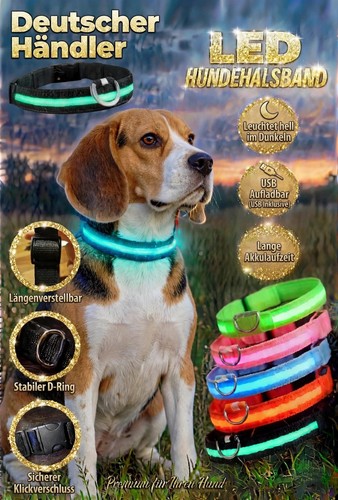 Led hundehalsband - led,