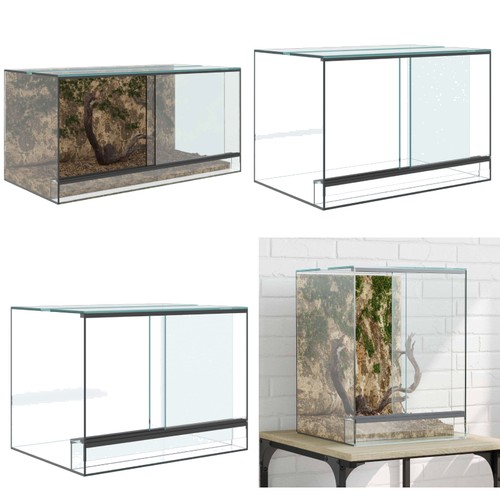 Terrarium reptilien und - terrarium,