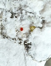 Zinkblende Realgar Lengenbach