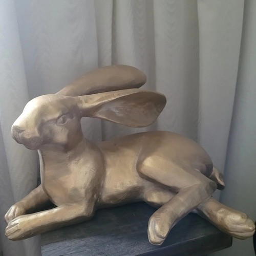 Prachtbursche großer hase - großer,