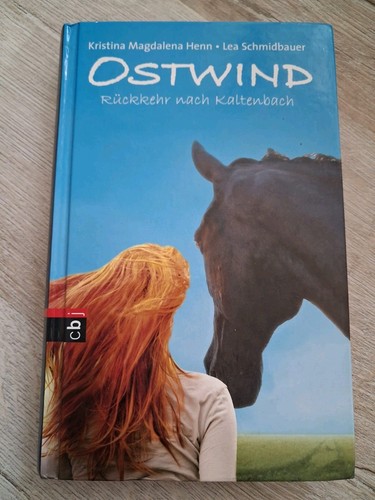 Buch roman ostwind rückkehr - roman, ostwind,