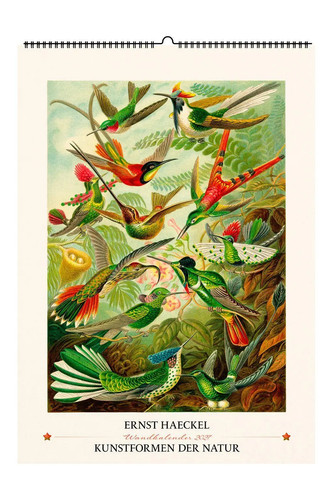 Ernst haeckel kunstformen der - haeckel.,